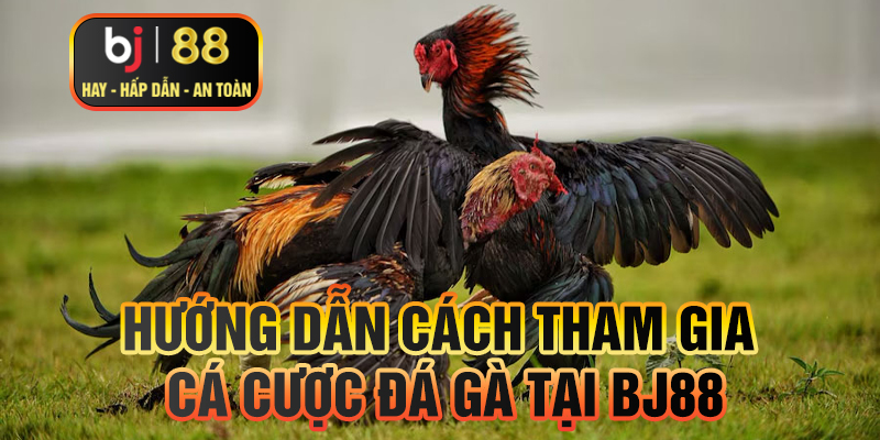 Hướng dẫn cách tham gia cá cược đá gà tại BJ88